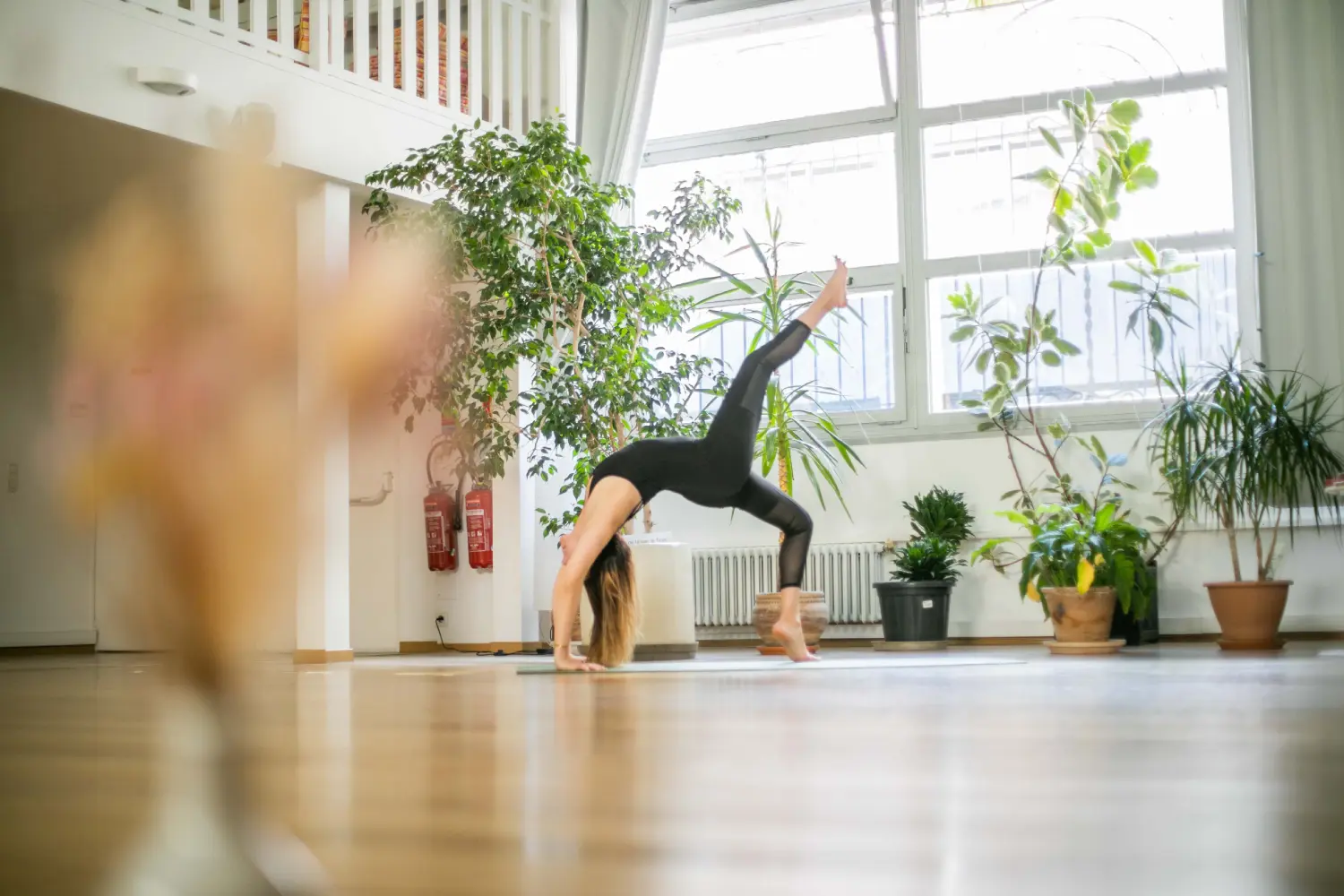 Shakti Yoga Studio Montpellier